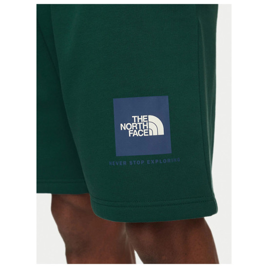 The North Face Ανδρικό σορτς Box NSE Regular Shorts
